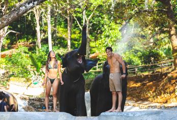 普吉Patong ELephant Hug芭东拥抱大象保护营【大象喂食制作象餐，大象洗澡互动，亲近动物，学习保护大象相关知识，专业摄影师拍摄，更换泰国传统服饰】