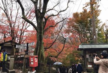 日本京都-琉璃光院-三千院-贵船神社-红叶满天 京都巡礼【专业行程定制，精选热门景点，高效游玩不走回头路，贴心服务保障，轻松】