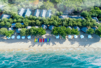 芽富湾和猴岛探索之旅【探索红树林原始之美，感受其多样化的生态系统。在爱情桥捕捉精彩瞬间，这里是情侣和摄影爱好者的圣地 探索由回收**制成的生态艺术，漫步在生机勃勃的三角梅花道上 漫步在充满精致兰花和热带植物的花园中】