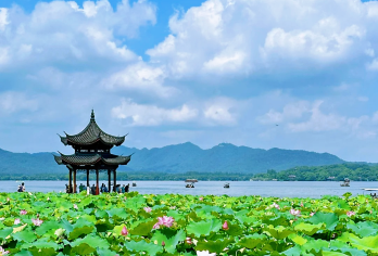 杭州西湖一日游+雷峰塔+飞来峰灵隐寺【西湖网红景点一网打尽，西湖全景一日游一，深度打卡】