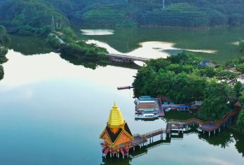 从西双版纳出发：西双版纳望天树景区一日游【不用拼车，专享包车自由出行!】