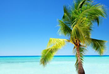 【全景文昌】宋氏祖居+铜鼓岭+石头公园+东郊椰林+椰子王国【探索航天与椰林之乡，走进文明侨乡（含午餐）】