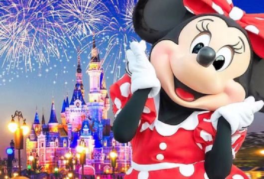 上海迪士尼【门票+8/14快项速通行+专属速入园+私家团】【①可选套餐：8/14项快速通行、导游拼团服务/私家团(一家一团)不拼团、独立导游服务。】