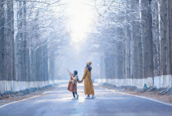 中国江苏东台龙王古寺+条子泥景区+黄海森林公园一日游【盐城-东台旅游交通专线可以帮助游客顺畅到达各景区，提高旅游体验的舒适度，丰富假期生活！】