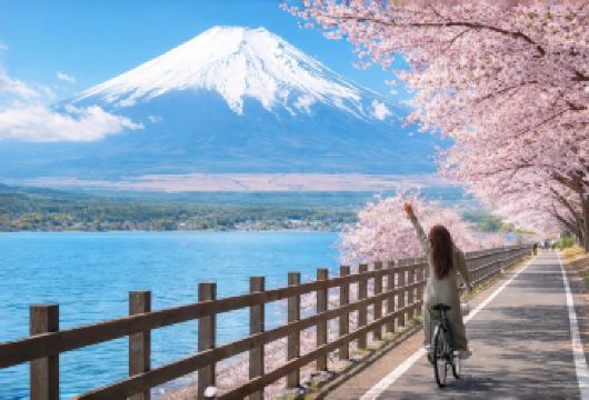 【富士山六大景点一日游】河口湖·山中湖·罗森·日川时计店【[一天打卡富士山六大热门景点]山中湖+忍野八海+河口湖大石公园+罗森便利店+网红公园+日川时计店】