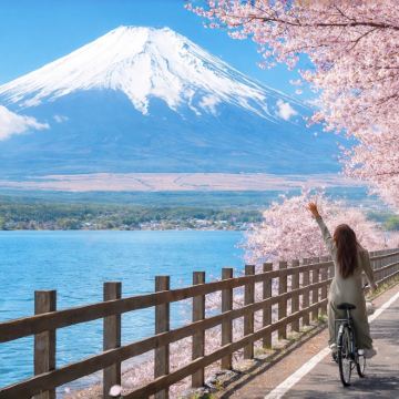 富士山季节限定赏樱一日游·河口湖·山中湖·罗森·日川时计店