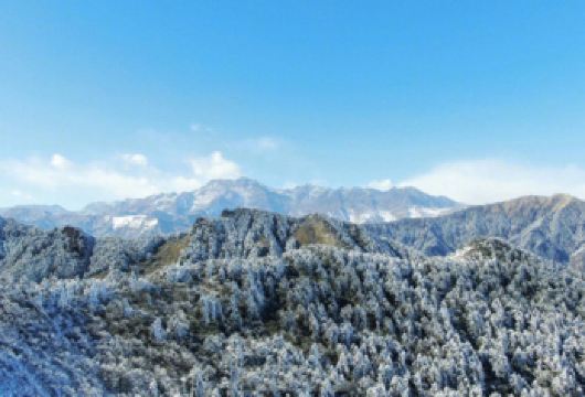 西岭雪山一日游【纯玩无购物 成都往返】【成都周边游 冬季推荐 纯玩】