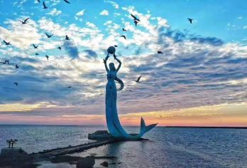 营口山海广场一日游【龙源海鲜自助餐】【龙源海鲜自助餐 山海广场赶海看大海】