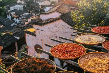 婺源篁岭一日游【景德镇出发 | 独立包车游】【[可心]多款车型自由选择、全程用车无缝接送、随车提供矿泉水、抽纸巾、手机充电服务，为您带来舒适旅行】