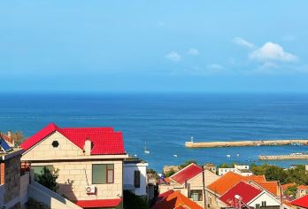 崂山会场赶海+青山渔村+环海公路+熊牧场纯玩拼团一日游【特色午餐大虾炒面/赠送崂山下午茶/免费提供赶海工具/熊牧场与熊共舞/空调大巴车全程接送/纯玩无购物】