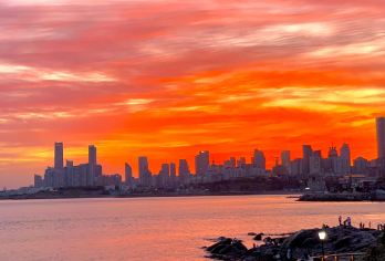 青岛小麦岛+奥帆中心+云上海天+零水准线一日游-可英文服务【可提供英文/韩语/日语导游服务-往返接送-可选导游-可代订门票】