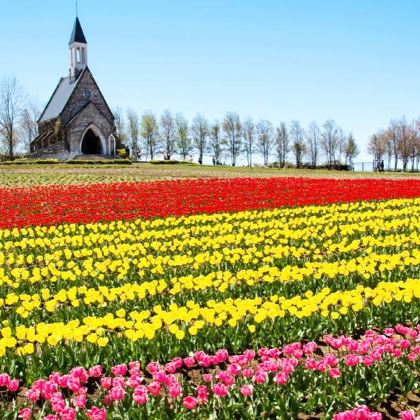 牧歌之里+飞驒高山+白川乡一日游【精品小团】
