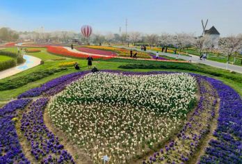 金卉庄园+孝感凤凰天仙城（都包门票|有跟拍服务）【中文司机】