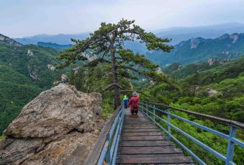 尧山 “洗肺 + 撒欢” 双体验：瀑布喊压力，浪花送快乐！【中文司机】