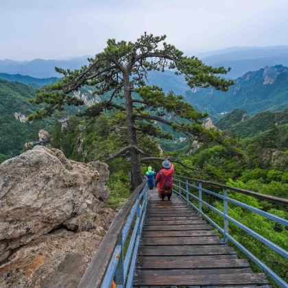 尧山 “洗肺 + 撒欢” 双体验：瀑布喊压力，浪花送快乐！