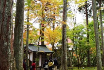 日本京都-琉璃光院-三千院-贵船神社-红叶满天 京都巡礼。【专业行程定制，精选热门景点，高效游玩不走回头路，贴心服务保障，轻松】