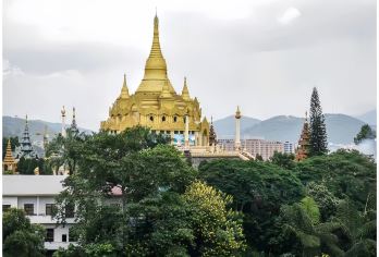 中国云南西双版纳打洛独树成林风景区+勐景来+打洛勐海一日游【[私人专享]一对一优秀司机服务，独立用车，一团一车轻松游玩!】