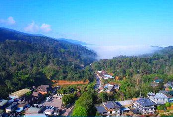 西双版纳南糯山+曼丢傣家古寨一日游【上门接送·沉浸体验】【[独特体验]古茶山森林徒步，呼吸新鲜空气， 运气好还可以看到云海哦】