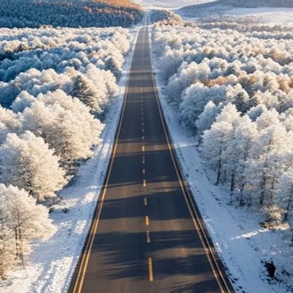 木兰围场+塞罕坝公园+乌兰布统草原一日游【私家团】