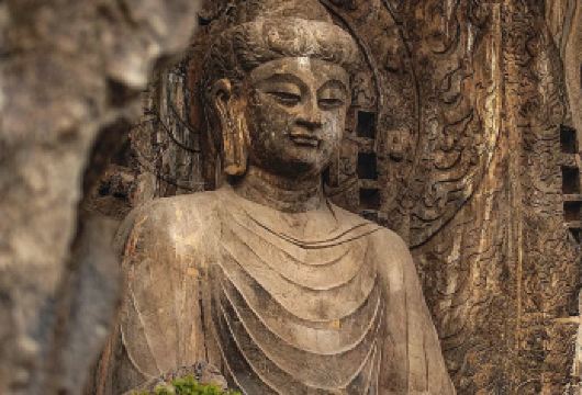 龙门石窟+少林寺【2-8人精品团|上门接送|大咖讲解】一日游【[精品小团]最多8人团，拒绝早起，拒绝大散拼，行程更轻松，上门接送，拒绝集合出发/扔客散团】