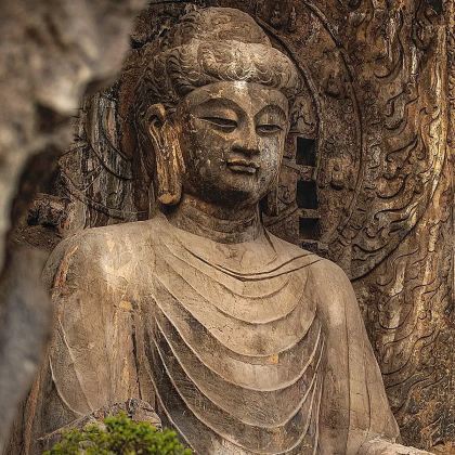 龙门石窟+嵩山少林寺【大咖讲解◆上门接送◆多团可选】一日游