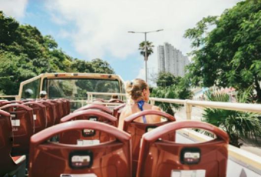 中国香港一日游【旺角+尖沙咀+中环+铜锣湾+独立包车上门接】【网红打卡景点+上门接送+出发时间自由安排+司机兼车导+行程可随意更改，希望您有一次愉快的旅游体验！】