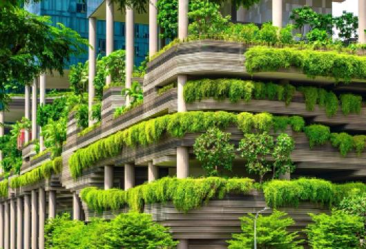 新加坡花少同款路线包车一日游【*独立成团+形成灵活+一站式服务】