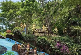 西双版纳望天树景区一日游【2-8人拼小团】【开心游版纳，超舒心安逸】