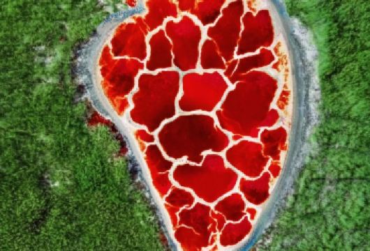 【纯玩·赠航拍】五湖·六湖穿越一日游【沙漠越野车刺激冲浪，探索天鹅湖、翡翠湖与“地球之心”乌兰湖，无人机航拍记录壮丽全景。】