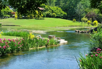 西湖游船环游西湖+太子湾赏花+湖边庭院下午茶+宋代点茶半日游【乘坐西湖游船赏西湖风貌，打卡赏花胜地太子湾公园，赏品种各异的郁金香、樱花等；】