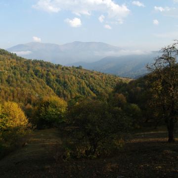 亚美尼亚埃里温塞凡湖+塞凡湖修道院+迪利扬国家公园包车一日游