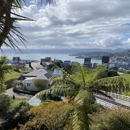 新西兰首都惠灵顿特色景点中文导游半日游