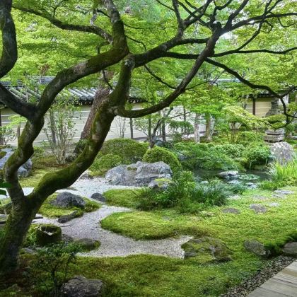 东京往返：轻井泽一日游｜中文包车一日游｜可定制