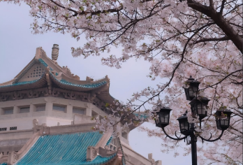 武汉大学半日游【含入园预约】【亲子文化研学行】【文化讲解】【[浪漫樱花季]穿越百年建筑，打卡武大樱花，邂逅春日浪漫。】