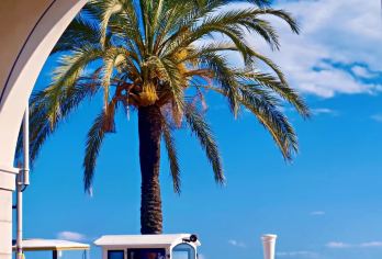 尼斯蔚蓝海岸浪漫之旅-天使湾-马塞纳广场-尼斯老城-城堡山【尼斯的标志性景点之一，在这里可以将天使湾和尼斯的美景都收尽眼底，一边一边是湛蓝的天空＋渐变蓝的海水】