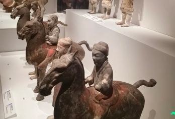 陕西历史博物馆秦汉馆半日游【精品小团+深度讲解】【[品质保障]优选商品，品质拒绝购物 、无自费】