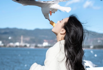 石林+ 滇池一日游15人小团【特色午餐·纯玩小团·观赏海鸥】【[多样景观]一天之内领略石林的奇特地质景观与滇池的湖光山色。石林大自然的鬼斧神工，滇池还有成群的海鸥】