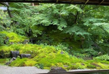 日本京都-琉璃光院.三千院-贵船神社-岚山-红叶巡礼/红叶季【专业行程定制，精选热门景点，高效游玩不走回头路，贴心服务保障，轻松】
