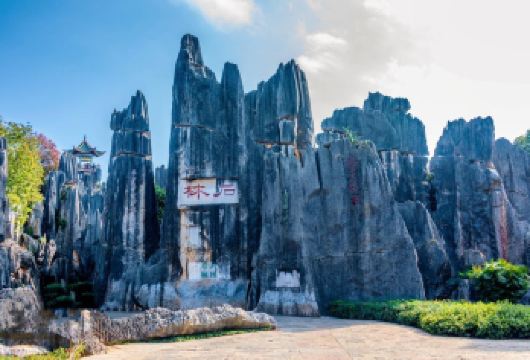 昆明石林+滇池+斗南花市一日游【臻享私家团◉赠送过桥米线】【[乐享好礼]赠价值28元过桥米线】