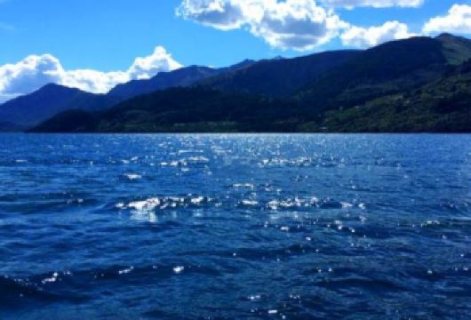 新西兰奥克兰-天空塔-奥克兰动物园-伊甸山-中文包车私享行【精选热门景点，高效游玩不走回头路，深度了解文化内涵，贴心服务保障，轻松享受旅程，性价比超高的旅行。】