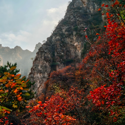 狼牙山一日活动·专车接送【家庭·团建·考察·定制·研学】