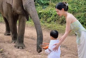 【亲子小团】西双版纳野象谷纯玩一日游丨市区上门接送丨可选独立【[行程更灵活]6人内小团，专车上门接送，出发时间自由宽松，景点停留时间可以根据您的需求调整，随心玩。】