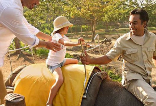 巴厘岛野生动物园一日游含专车接送【[Lucky之旅]近距离接触稀有动物，与狮子、大象等互动，感受自然魅力】