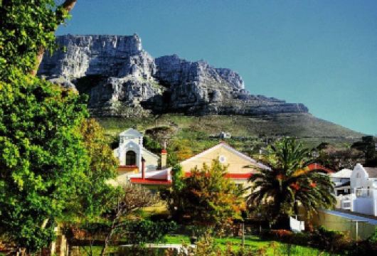 南非开普敦包车一日游 荒野保护区+好望角+西蒙斯敦海滩【小众打卡地Zandvlei河口自然保护区】