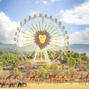 清远长隆森林王国一日游