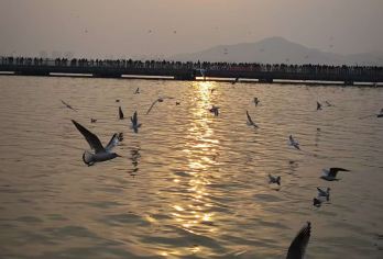 龟山汉墓一日游【龟山汉墓-宝莲寺-戏马台-云龙湖拼团1日游】【徐州汉文化邀您跨越时空， 触摸一个民族的精神根基！】