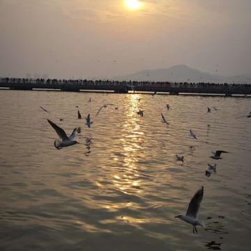 龟山汉墓一日游【龟山汉墓-宝莲寺-戏马台-云龙湖拼团1日游】