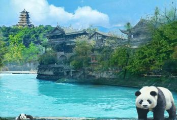 成都熊猫基地+都江堰景区一日游【独立团+含门票+都江堰讲解】【[精品8人内小团]专注小团，拒绝早起，不带您看演出打擦边，从秦堰楼进，由上而下更好的游览都江堰全貌】