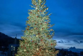 日本旭川札幌-美瑛青池富良野/可小樽登别北海道包车-精选【包车一日游，解锁旅行新方式！独立车辆配备经验丰富的老司机，为您量身打造专属行程。】