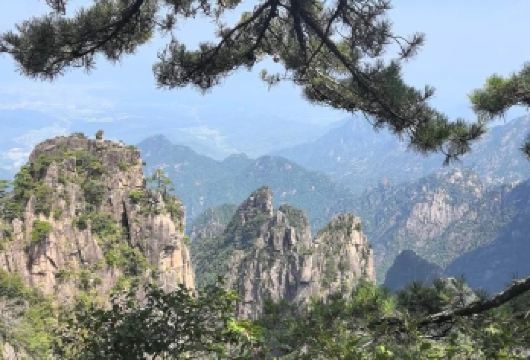 黄山一日游（全程纯玩，不进购物店）黄山市（屯溪）各酒店接站【黄山市（屯溪）各酒店接站】